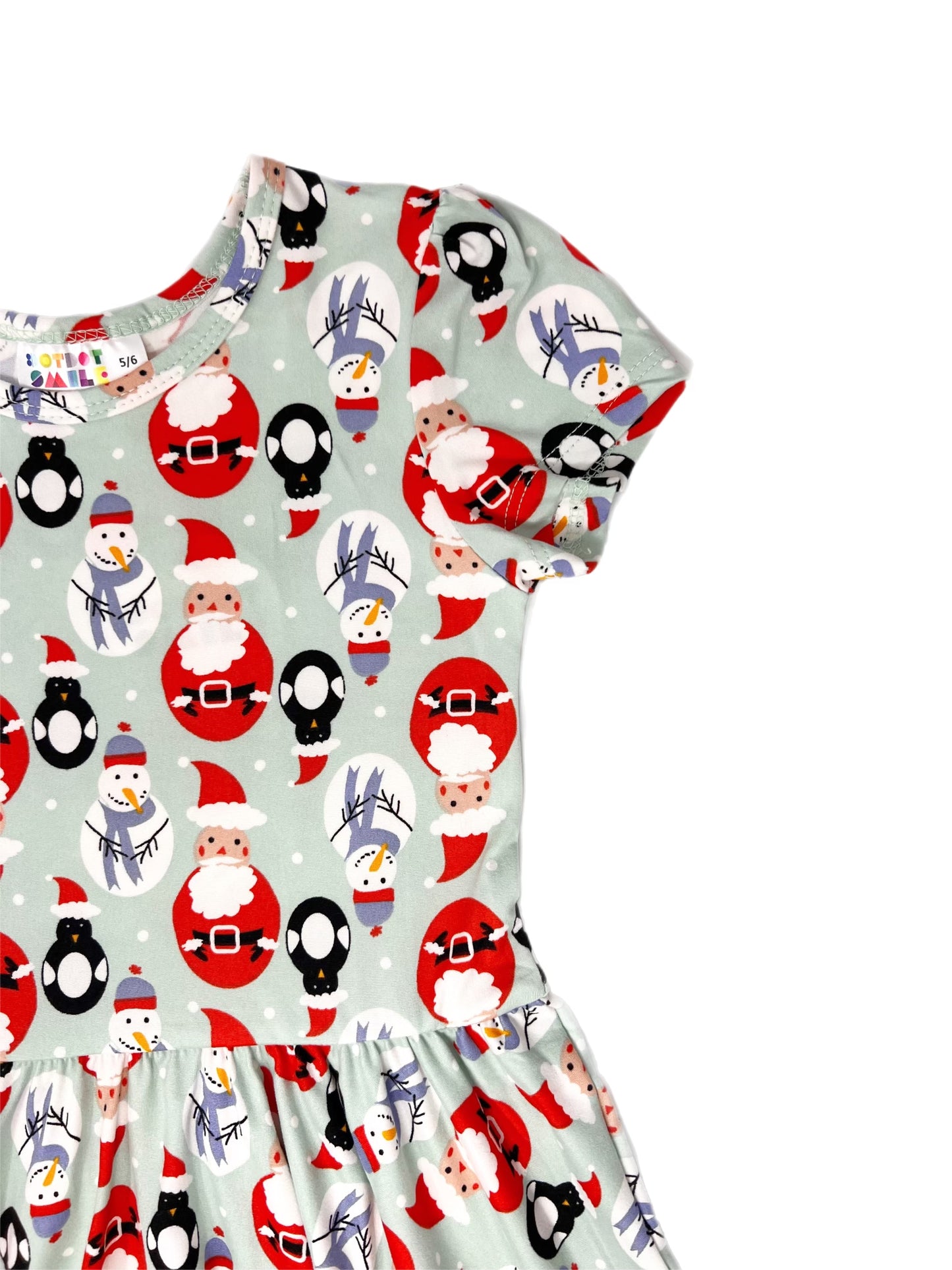 Santa & Friends Cap Dress